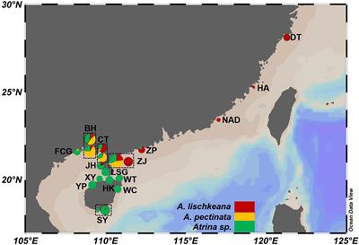 Phylogeography and Taxonomic Revision of the Pen Shell Atrina pectinata Species Complex in the South China Sea